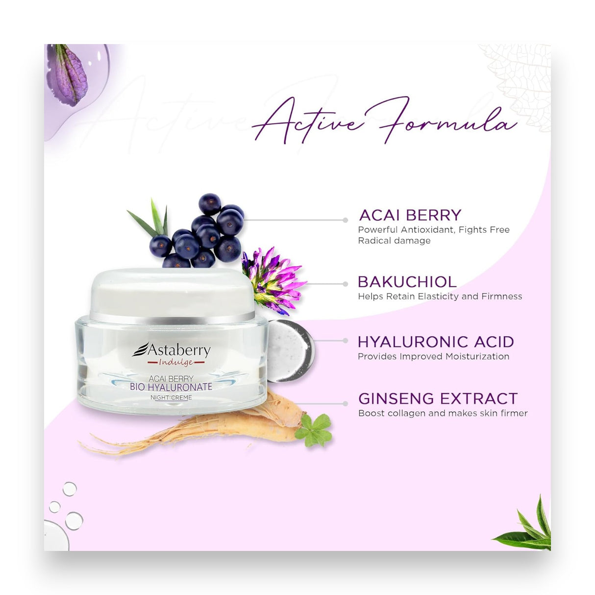 Astaberry Acai Berry Bio Hyaluronate Night Crème 50g Glagil