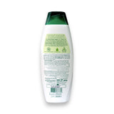 Palmolive Naturals Shampoo 2 in 1 Color Shine 380ml Glagil