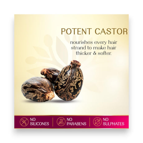 Herbsindia Castor and 7 Seeds Hair Oil 280ml Glagil