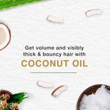 Himalaya Coconut Oil Hair Cream 150ml - Glagil