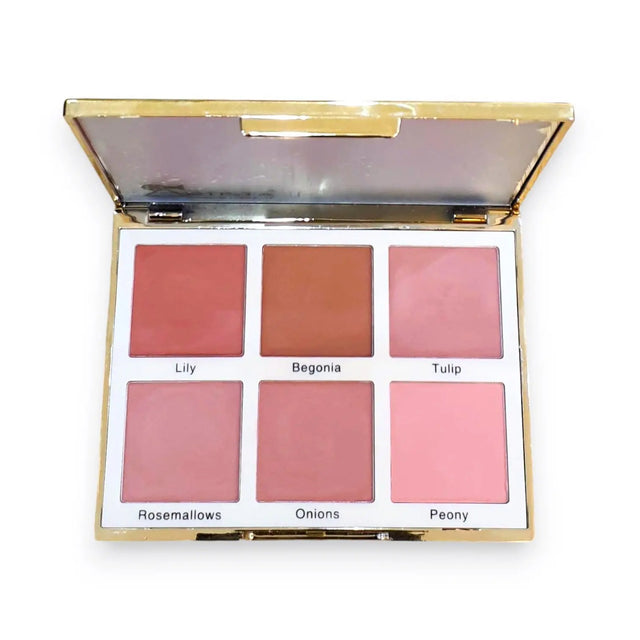 Artista Hoho Masterbalanced Blusher Palette 15g Glagil